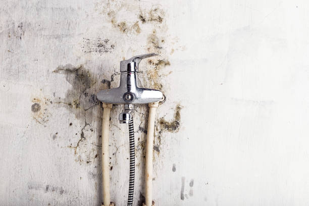 Best Home Mold Removal  in Lompoc, CA
