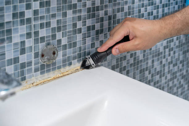 Best Mold Removal and Inspection  in Lompoc, CA