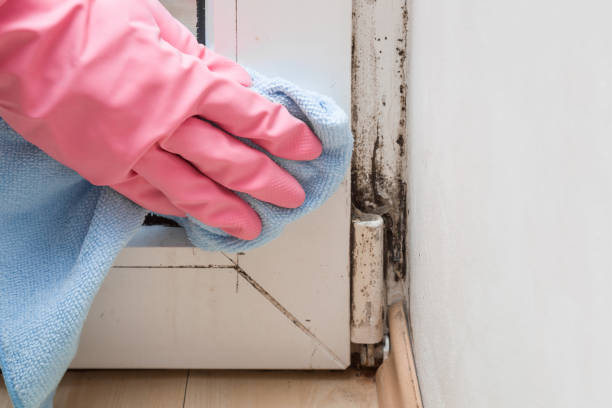 Best Crawl Space Mold Removal  in Lompoc, CA